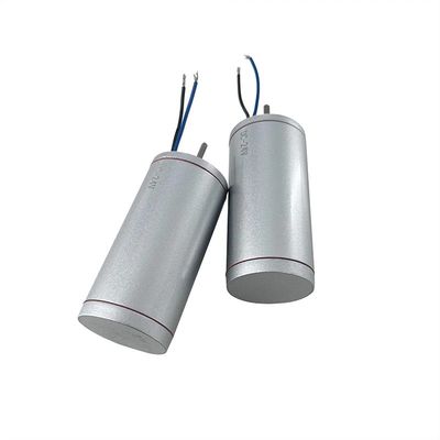 115V/230V Pmsm nominal 42bls Motor pequeño sin escobillas para el vehículo eléctrico