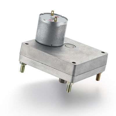 28mm 24v 7.73W motor de engranaje de plata de alto par de pincelado motor de engranaje de CC para personalización