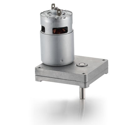Plata 42 mm de torque alto motor de engranaje de carga cuadrada 12V 24V 21.1W motor de engranaje de corriente continua cepillado