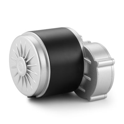 24V 250W/350W Torque alto 101mm engranaje DC motor eléctrico de la máquina esencial
