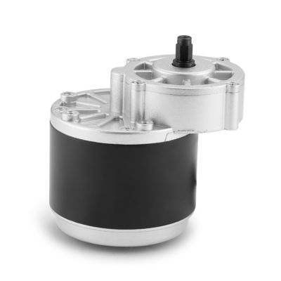 24V 250W/350W Torque alto 101mm engranaje DC motor eléctrico de la máquina esencial
