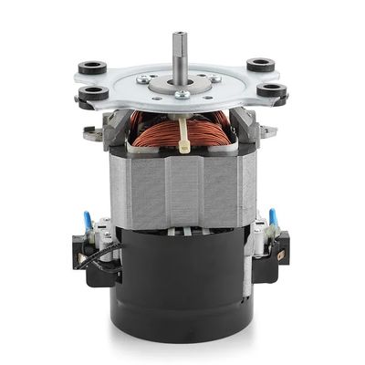 IE 1 Eficiencia 110V 220V Motor de la cinta de correr de corriente alterna Motor de corriente alterna monofásico 50/60Hz