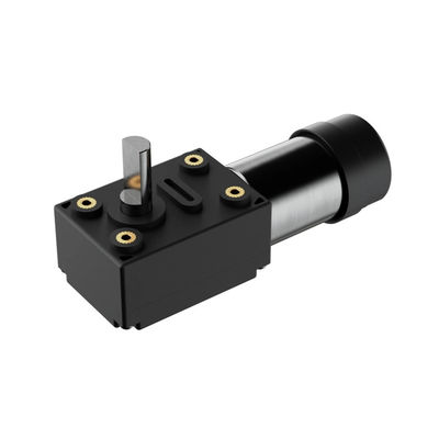 Motor eléctrico de corriente continua 1KG Herramientas de jardín con carcasa de plástico de 12V Motor BLDC de engranaje de gusano de corriente continua
