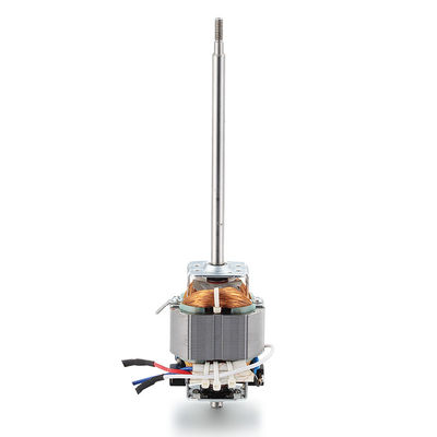 Motor eléctrico de corriente alterna de alta torsión 110v 220v 100w 200w 300w para la máquina de cinta de correr 10000 rpm