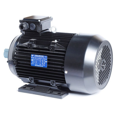 Clasificación de aislamiento del motor de inducción de 3 fases F 2KG para la popular bomba de agua de la lavadora