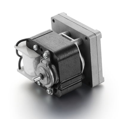 Alta velocidad 240V 10W/30W Trampolín de palo sombreado Motor CA 3000 rpm 50Hz/60Hz Bajo ruido