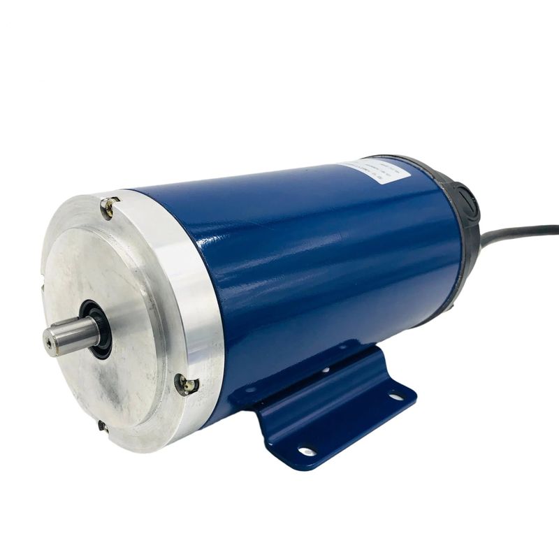 Motor de cinta de correr de alta torsión DC 3000 RPM Zyt 220V 110V 24V Eficiencia del imán permanente